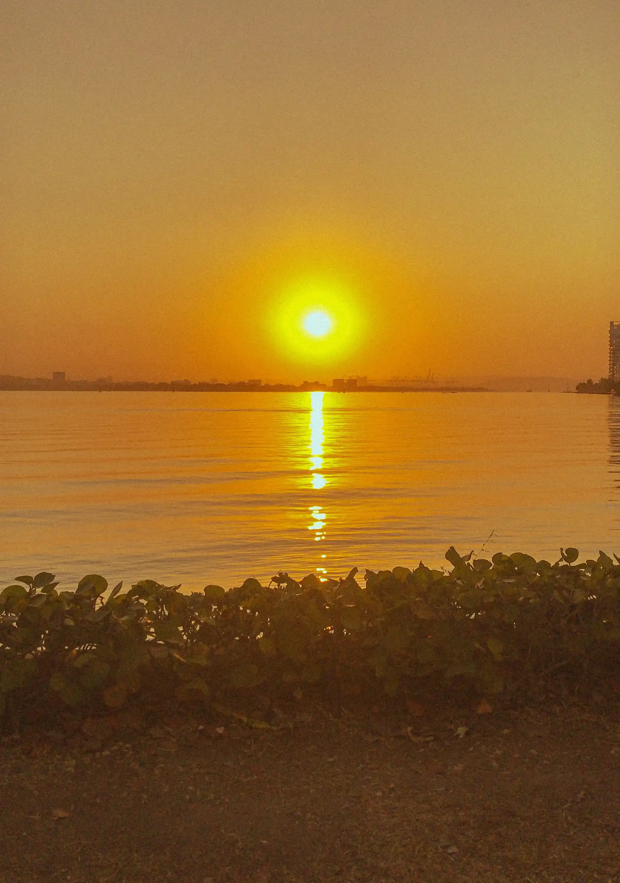 ¿Qué hacemos después?