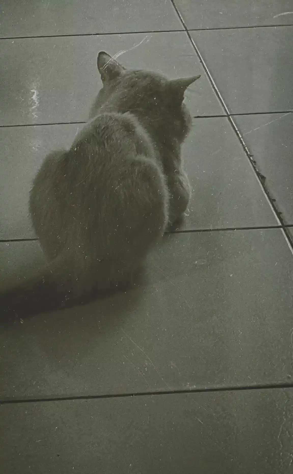 Marco cambia de perspectiva